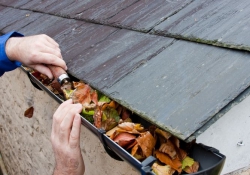 Fascia Lift Ltd - Fascias, Soffits and Guttering in Winchester